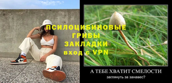 гашик Арсеньев