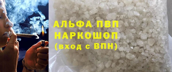 гашик Арсеньев